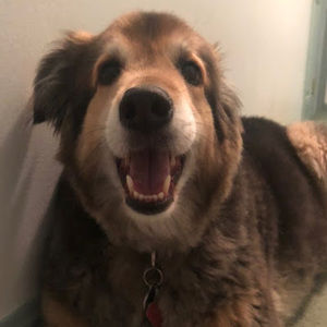 Meet your Posher, Gina